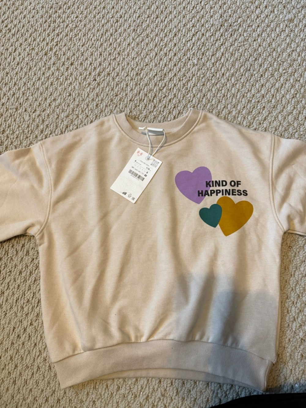 Zara Cream Sweatshirt with Purple, Green and Mustard Hearts